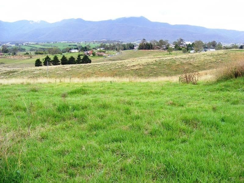 Lot 131 Barretts Road Bemboka NSW, Bemboka - Thumbnail 2