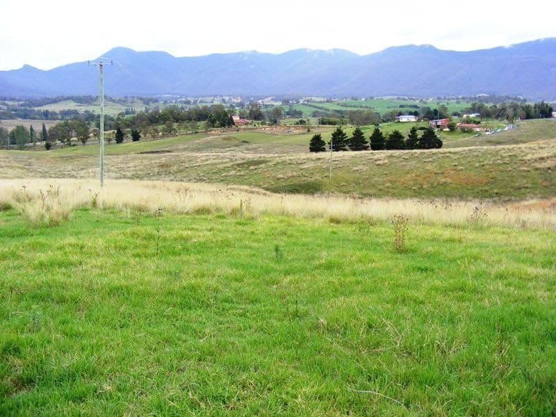 Lot 131 Barretts Road Bemboka NSW, Bemboka - Thumbnail 4
