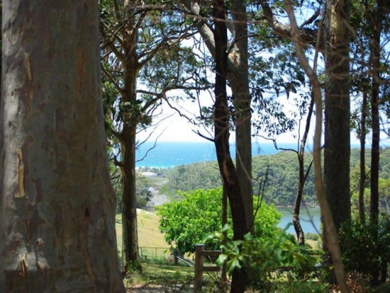 150 Murrah River Forest Road Cuttagee NSW, Cuttagee - Image 1