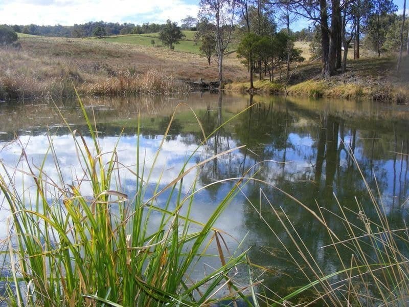 Lot 41 Batemans Road Morans Crossing NSW, Morans Crossing - Image 1