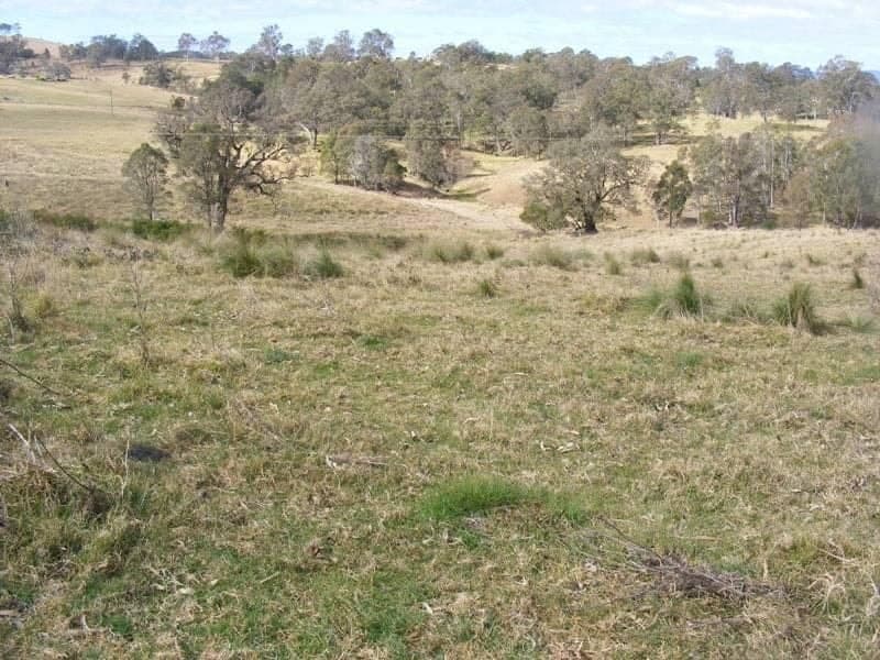 Lot 41 Batemans Road Morans Crossing NSW, Morans Crossing - Thumbnail 3