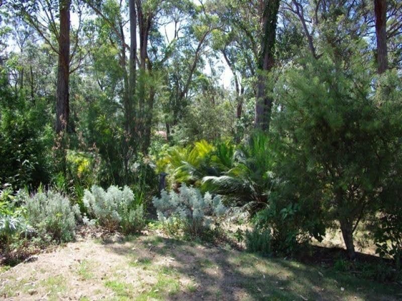 8 Gibboketon Place WALLAGA LAKE NSW, Wallaga Lake - Thumbnail 2