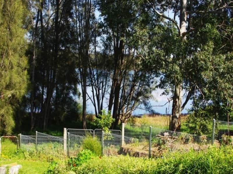 43 O'Connells Point Road WALLAGA LAKE NSW, Wallaga Lake - Thumbnail 8