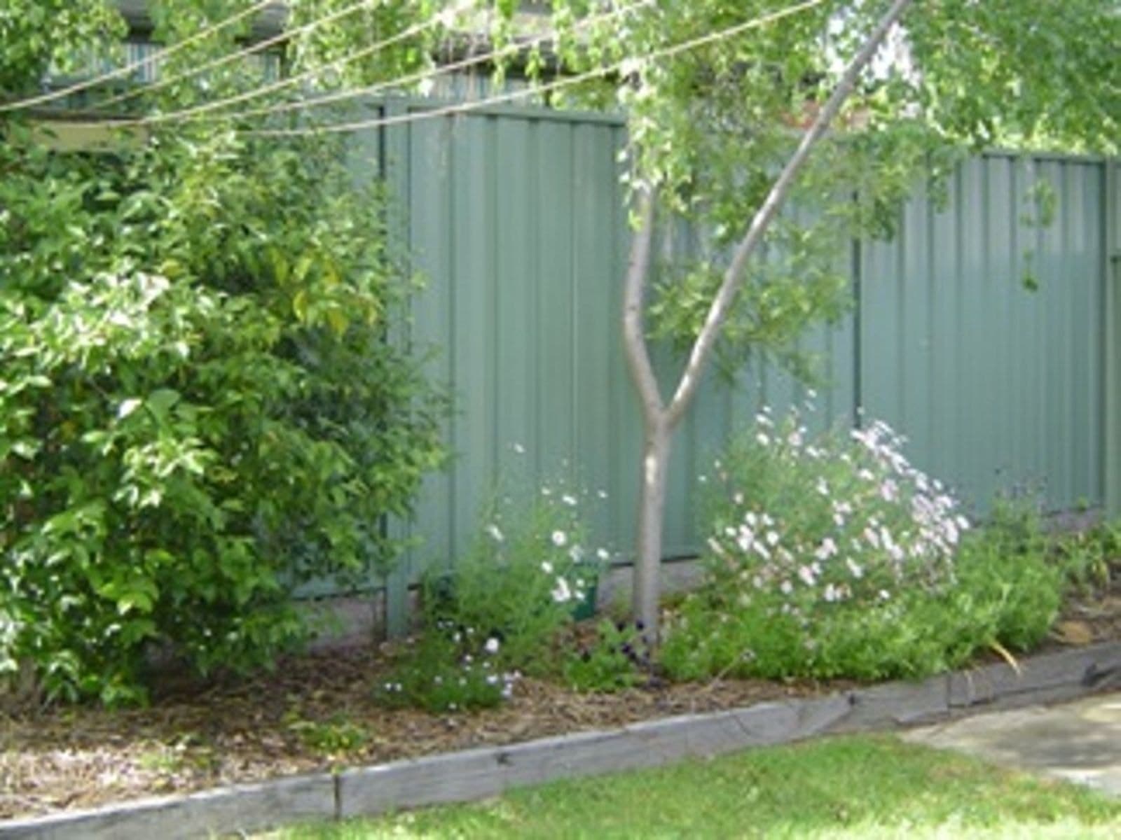 61 Gladstone Street, Bendigo, VIC 3550, Bendigo - Thumbnail 6