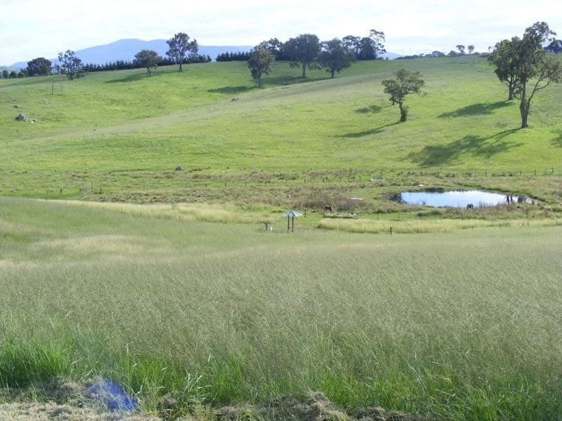Lot 25 Max Slater Drive Bega NSW, Bega - Image 1