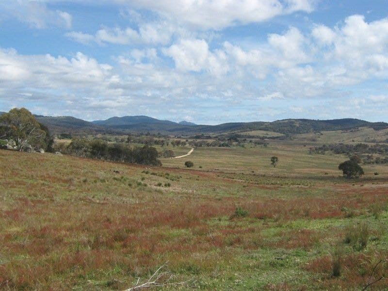105 Bobeyan Road Shannons Flat NSW, Shannons Flat - Image 1