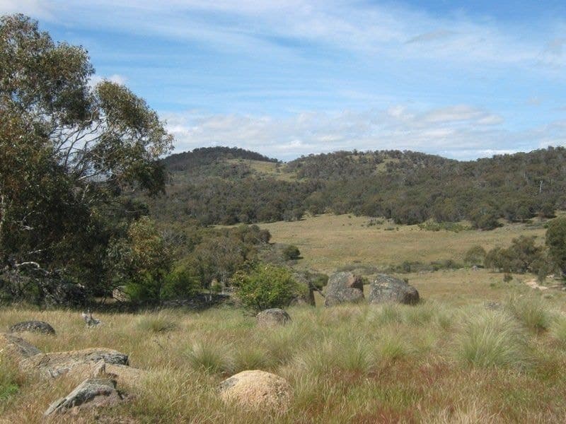 105 Bobeyan Road Shannons Flat NSW, Shannons Flat - Thumbnail 2