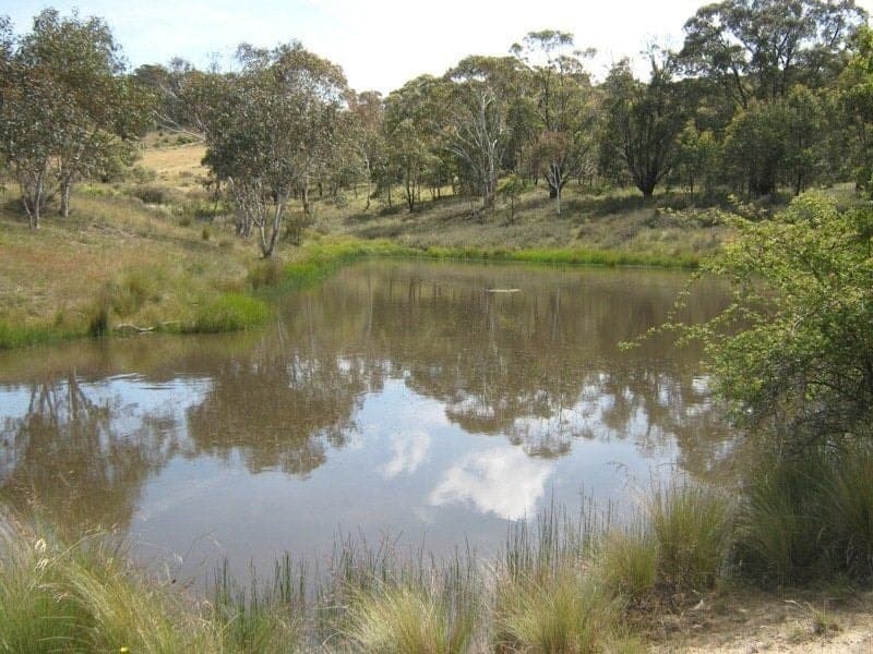 105 Bobeyan Road Shannons Flat NSW, Shannons Flat - Thumbnail 3