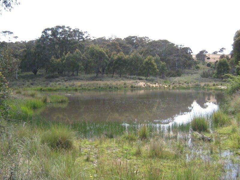 105 Bobeyan Road Shannons Flat NSW, Shannons Flat - Thumbnail 4