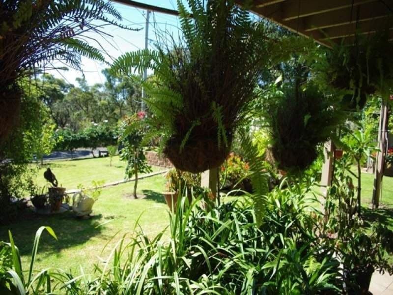 166 Wallaga Lake Road, BERMAGUI, Bermagui - Thumbnail 2
