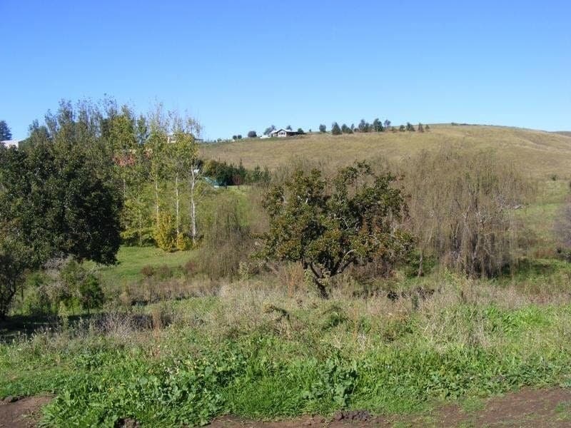 50-52 Panbula Street Candelo NSW, Candelo - Thumbnail 2