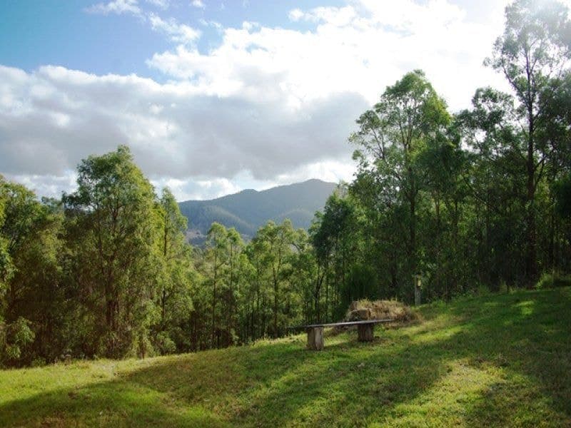 92 Link Road WANDELLA NSW, Wandella - Thumbnail 2