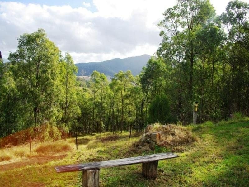 92 Link Road WANDELLA NSW, Wandella - Thumbnail 3
