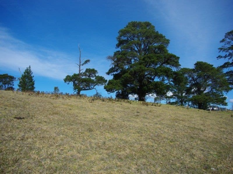 Lot 211 Yowrie Road COBARGO NSW, Cobargo - Thumbnail 2