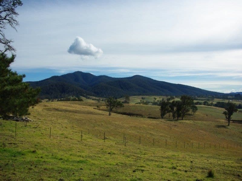 Lot 211 Yowrie Road COBARGO NSW, Cobargo - Thumbnail 5