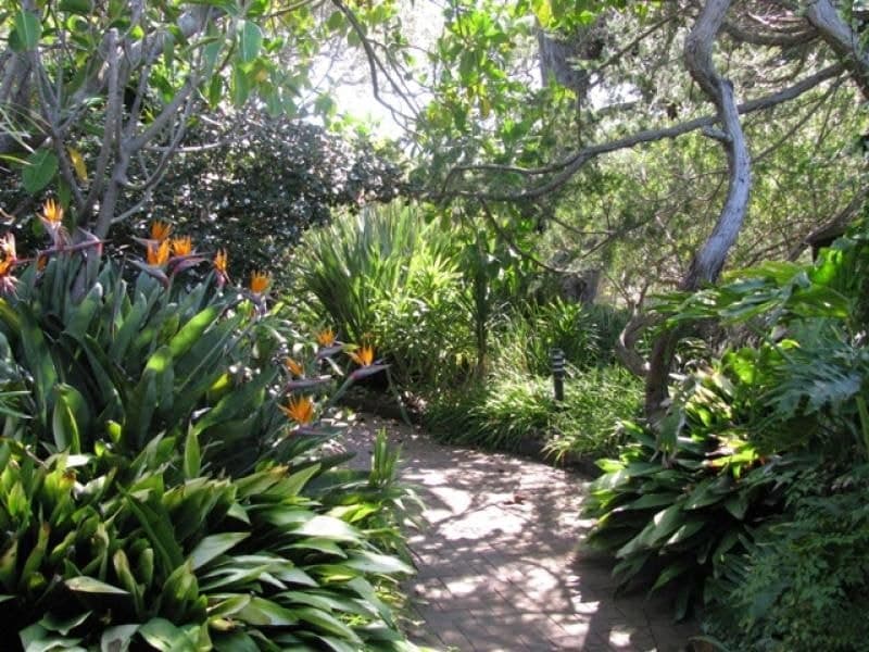 74 South Tilba Road BERMAGUI NSW, Bermagui - Image 1