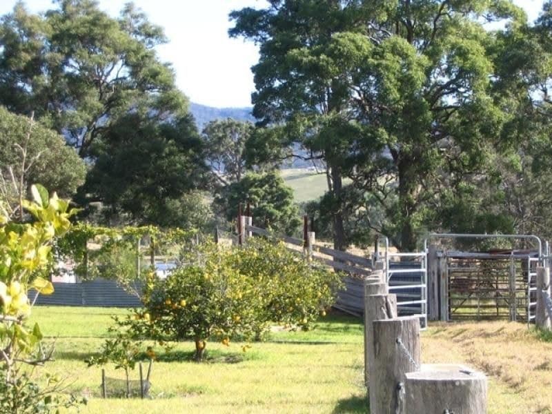 10534 Princes Highway COBARGO NSW, Cobargo - Thumbnail 4