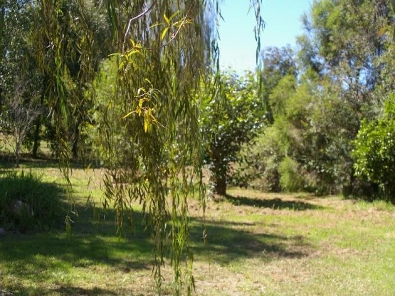 15 Tarlington Street COBARGO NSW, Cobargo - Thumbnail 4
