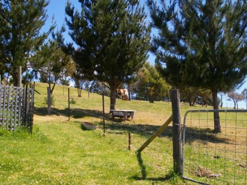 240 Verona Road, QUAAMA, Quaama - Thumbnail 6