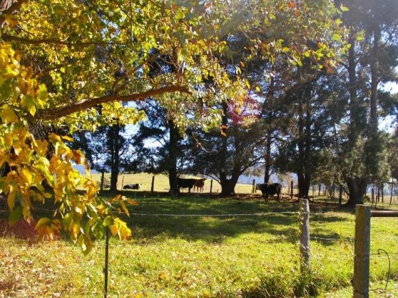 186 Verona Road QUAAMA NSW, Quaama - Thumbnail 2