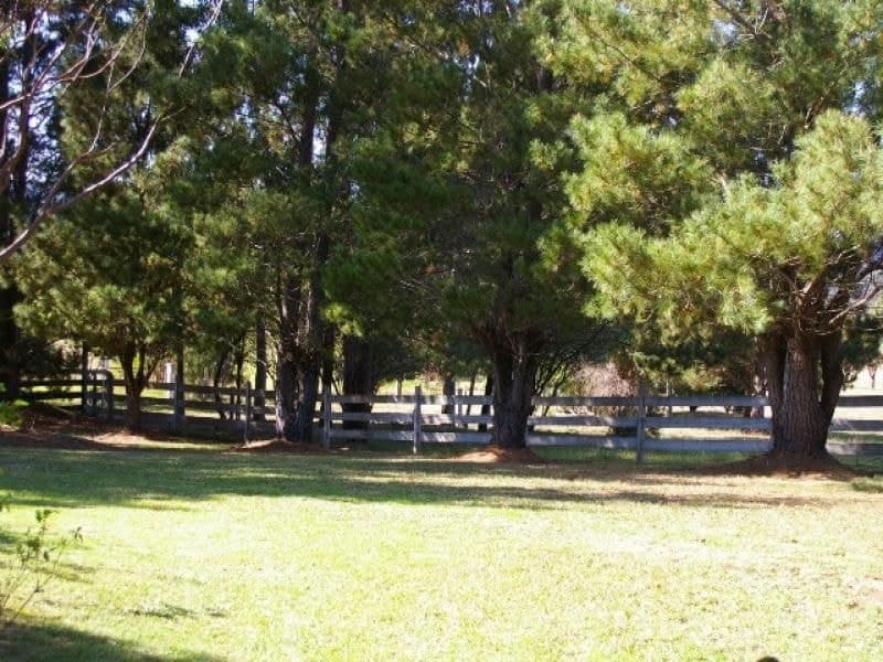186 Verona Road QUAAMA NSW, Quaama - Thumbnail 6