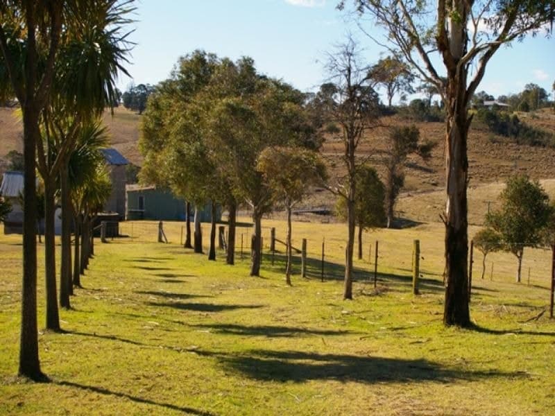 129 Upper Brogo Road VERONA NSW, Verona - Thumbnail 5