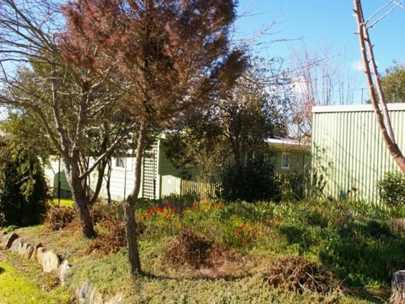 129 Upper Brogo Road VERONA NSW, Verona - Thumbnail 6