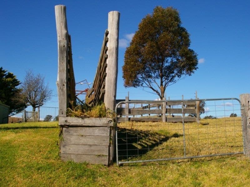 129 Upper Brogo Road VERONA NSW, Verona - Thumbnail 7