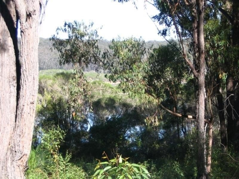 13 Endeavour Drive WALLAGA LAKE NSW, Wallaga Lake - Thumbnail 3