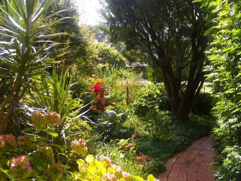 52 George Street BERMAGUI NSW, Bermagui - Thumbnail 2