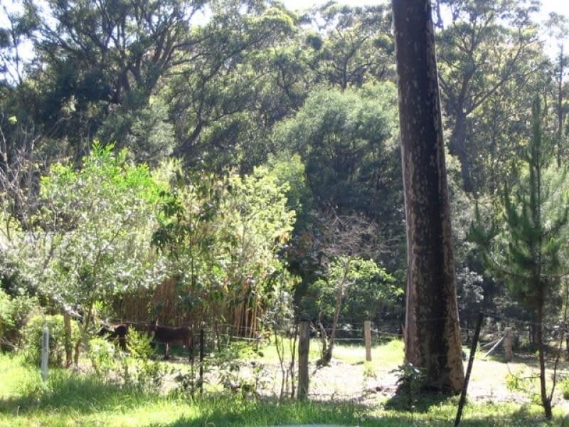 Lot 1, 67 Nutley's Creek Road BERMAGUI NSW, 67 Nutley'S Creek Road Bermagui - Thumbnail 4
