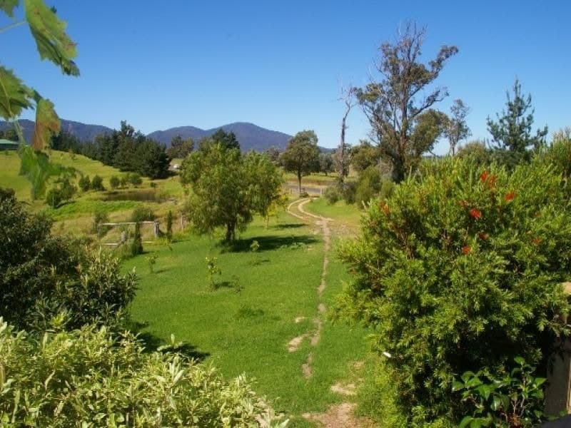 294 Verona Road QUAAMA NSW, Quaama - Thumbnail 8