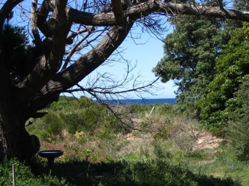 7a Narira Street BERMAGUI NSW, Bermagui - Thumbnail 4