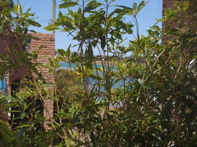1 Wallaga Lake Road, BERMAGUI, Bermagui - Thumbnail 2