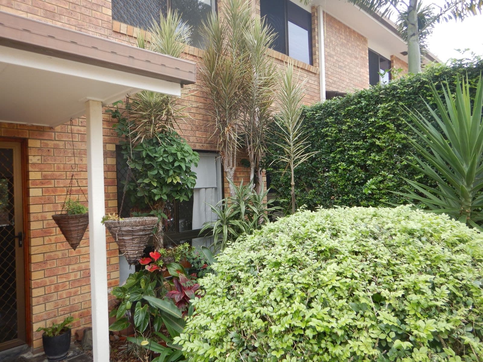 9/13 Pine Street, Buderim QLD 4556, Buderim - Image 1