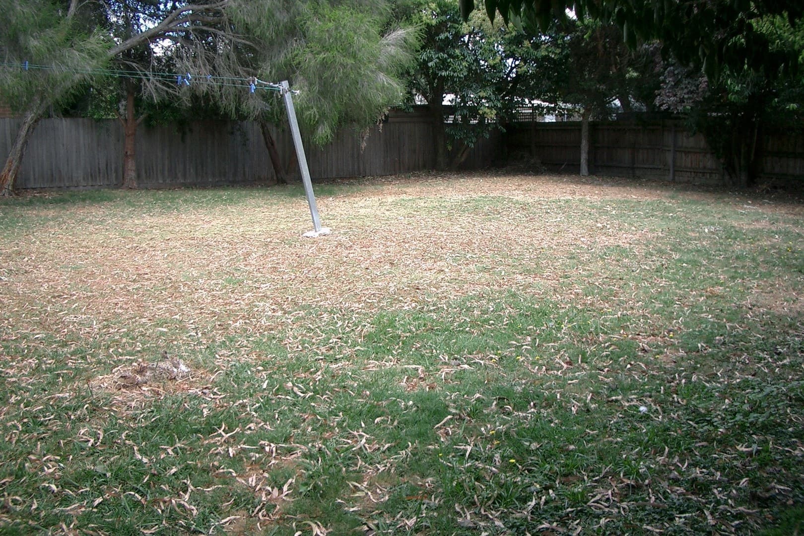31 Bambra Street, Croydon, VIC 3136, Croydon - Thumbnail 5