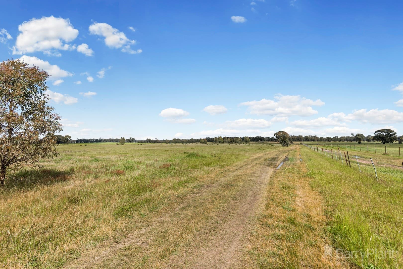 149 Inglis Road, Bagshot, VIC 3551, Bagshot - Thumbnail 8
