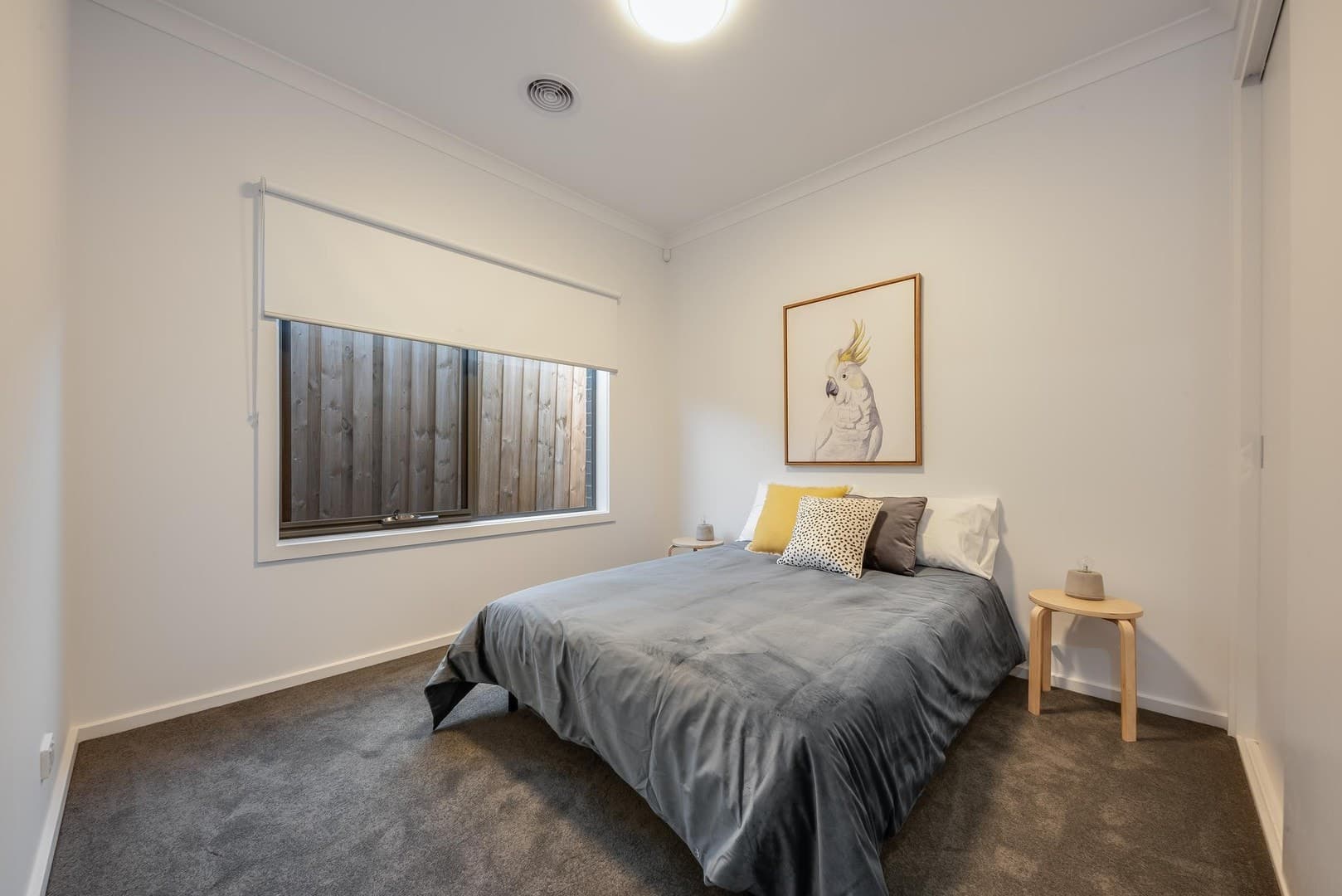 42C Shackleton Street, Belmont, VIC 3216, Belmont - Thumbnail 6