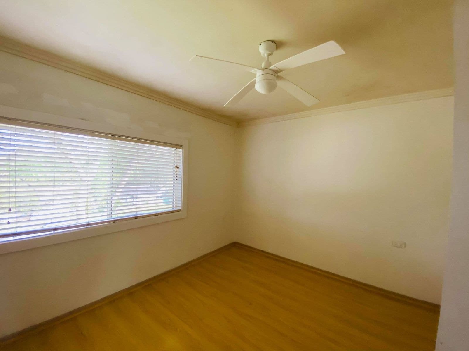 7 Willandra Crescent, Windale NSW 2306, Windale - Thumbnail 5