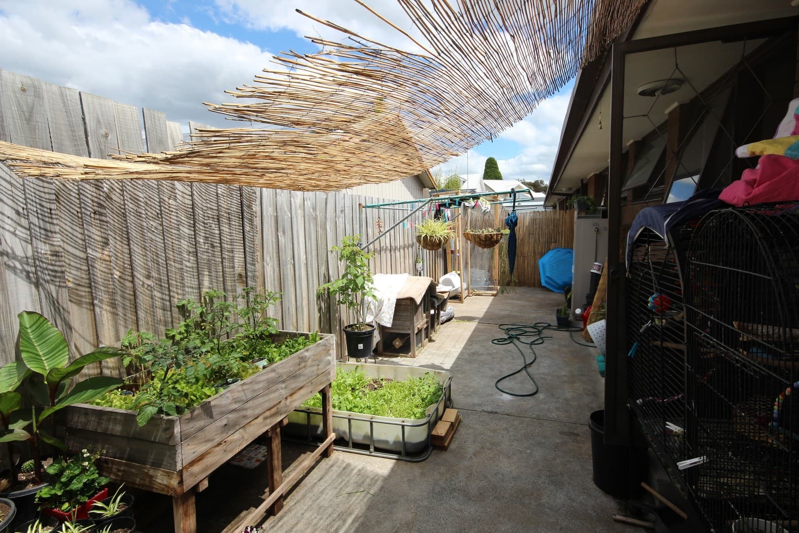 5/56 Ormond Road, East Geelong, VIC 3219, East Geelong - Thumbnail 8