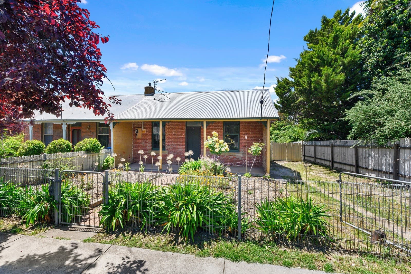 149 Mitchell Street, Bendigo, VIC 3550, Bendigo - Image 1