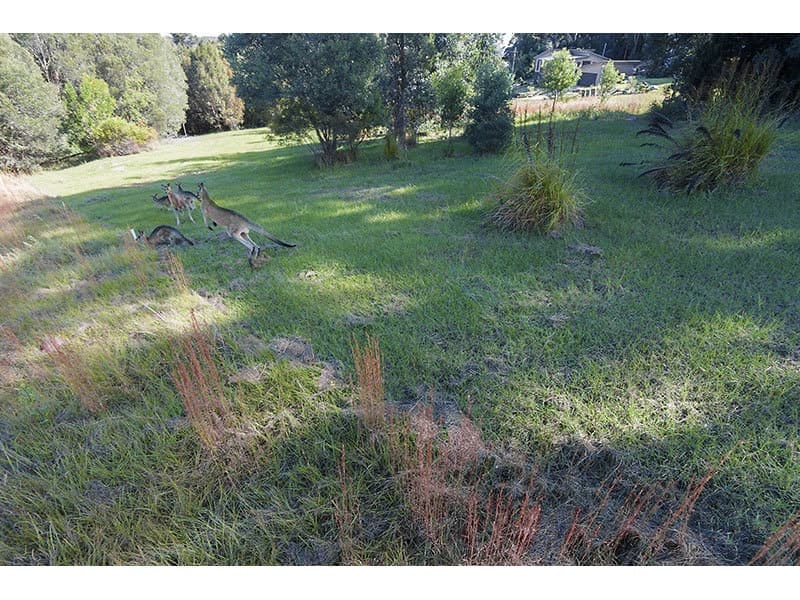 15 The Glen, Maclean NSW 2463, Maclean - Thumbnail 4