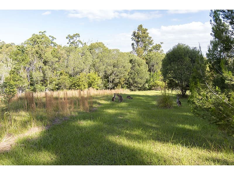 15 The Glen, Maclean NSW 2463, Maclean - Thumbnail 5