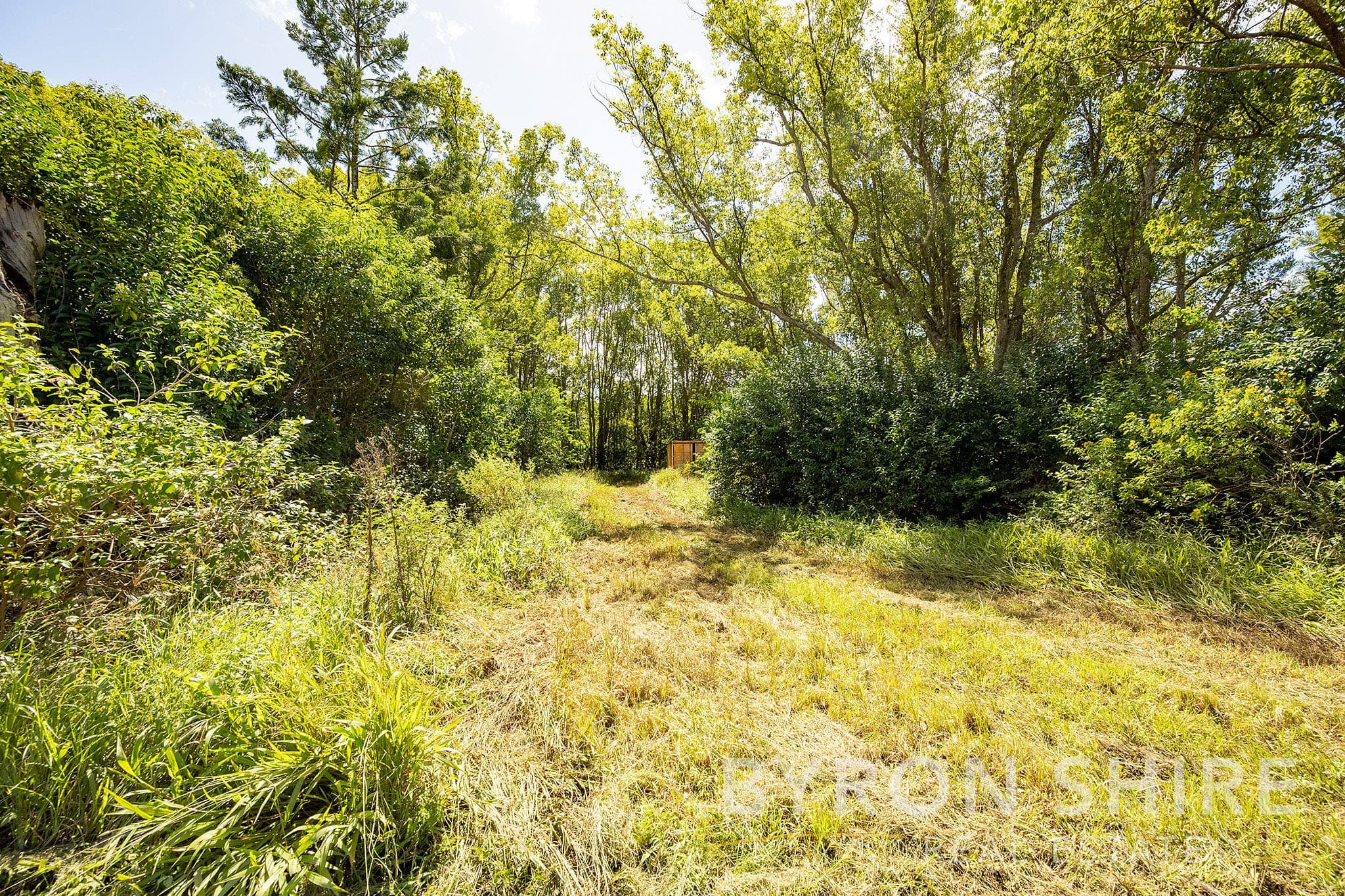 410 Eltham Rd, Eltham NSW 2480, Eltham - Thumbnail 6