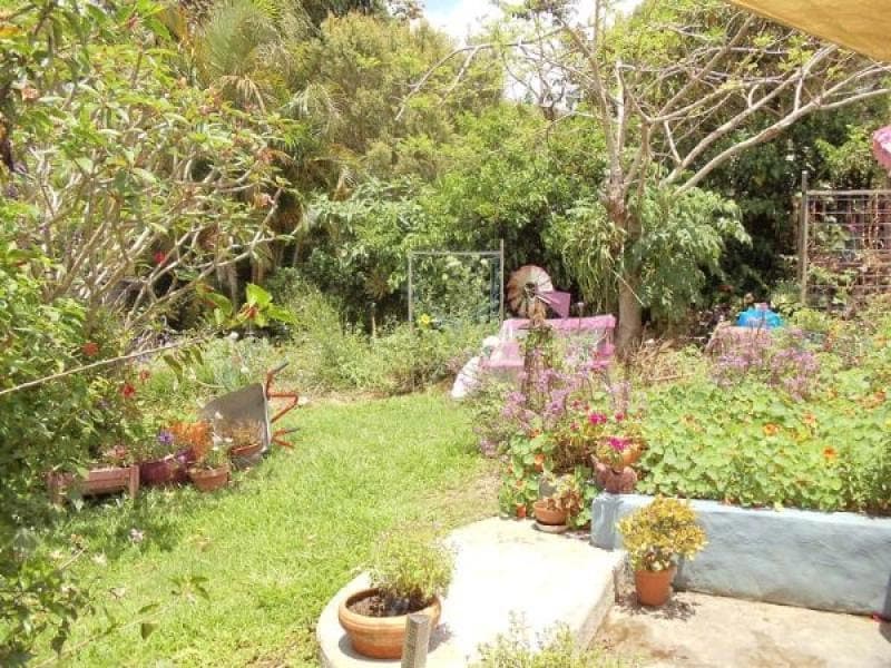 34 Orana Road, Ocean Shores NSW 2483, Ocean Shores - Thumbnail 5