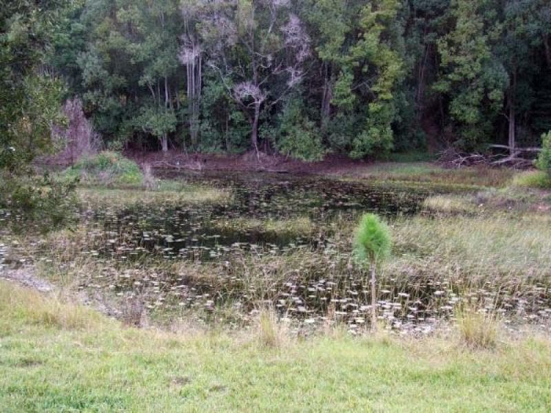 Lot 24 Tunnell Road, Stokers Siding - Thumbnail 2