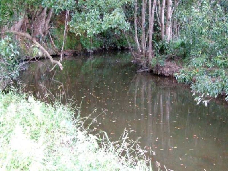 Lot 24 Tunnell Road, Stokers Siding - Thumbnail 4