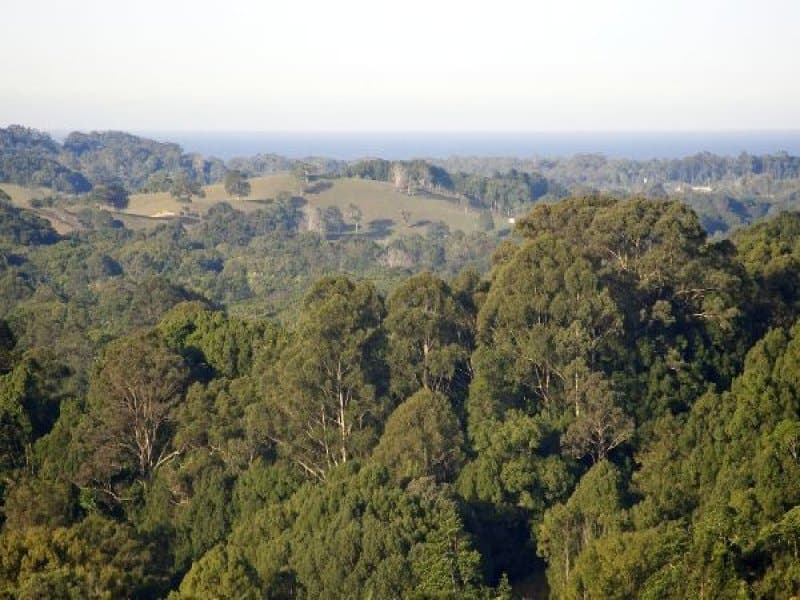 833 The Pocket Street, Billinudgel NSW 2483, Billinudgel - Image 1