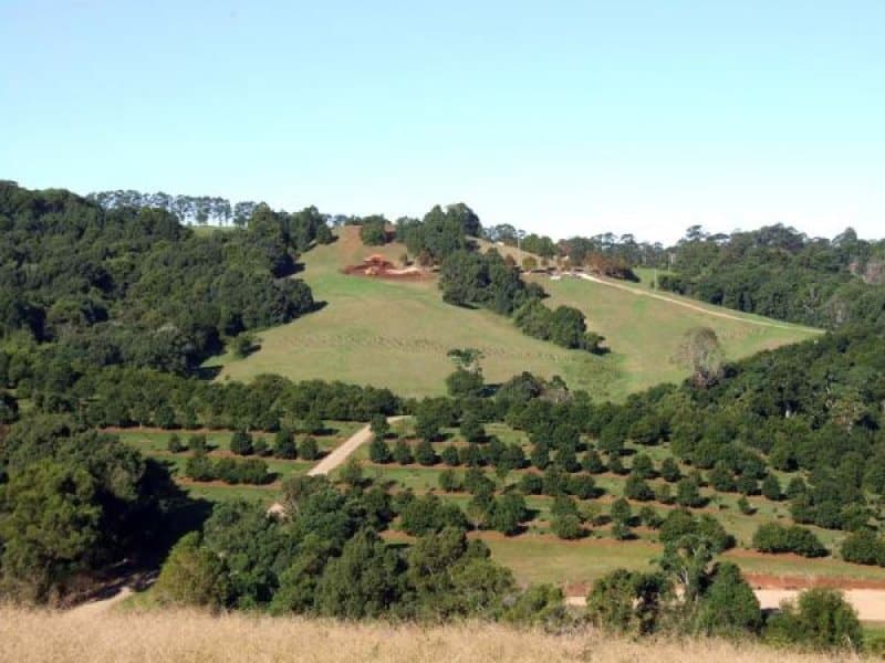 Lot 9 Cedar Ridge Street, Federal - Thumbnail 3