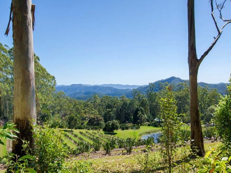 Lot 1 Middle Ridge Road, Upper Main Arm NSW 2482, Upper Main Arm - Image 1